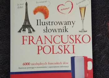 Ilustrowany słownik Francusko-Polski 6000 słów Olesiejuk