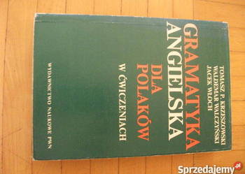 GRAMATYKA ANGIELSKA DLA POLAKÓW W ĆWICZENIACH  /FA