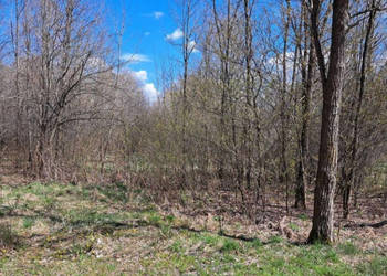 PROMOCJA! Dwie działki w cenie jednej! Słynny zalew SIELPIA! Cisza i spokó…