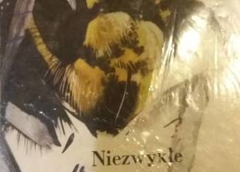 Niezwykłe przygody Olka i Walerki  piękne książki dla dzieci