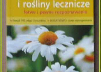 Zioła i rośliny lecznicze - Przewodnik / zioła / zielarstwo / rosliny Zioła i rośliny lecznicze - Przewodnik / zioła / zielarstwo / rosliny
