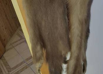 Skórki z norek 3szt. Skórki z norek 3szt.