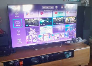Sprzedam TV SONY 55 cali.Super stan.Idealny obraz smart dom itp.