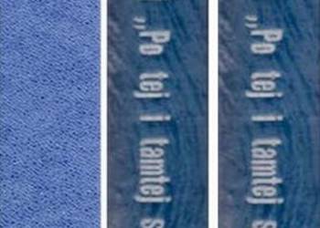 PO TEJ I TAMTEJ STRONIE NIEMNA - Stosunki polsko-litewskie