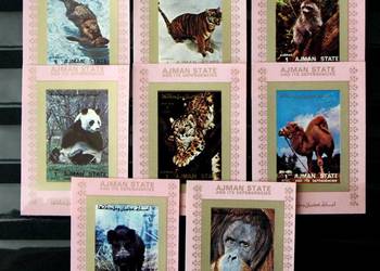 Ajman ( fauna Afryki) bloki