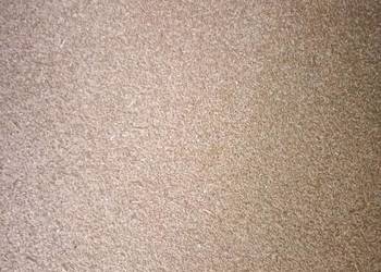 Sprzedam żyto na pasze