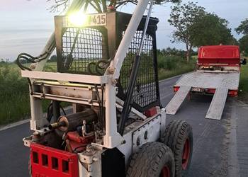 Bobcat