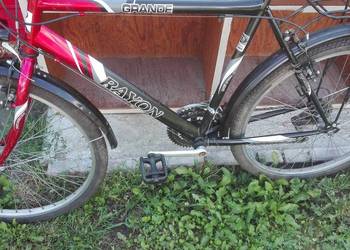 Rower męski  Rayon / Grande 26 ''