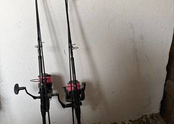 Zestaw karpiowy Prologic 240 + Cormoran 5500 / LM 8000 + żyłki