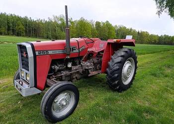 Ferguson MF 255 nie 3512, zarejestrowany sprawny