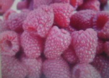 Sprzedam Maliny