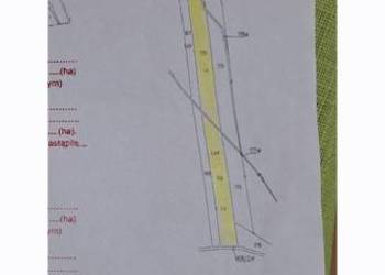 Sprzedam las w Chodlu 4 działki szeregowe