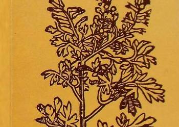 LEŚNE ROŚLINY ZIELARSKIE - POLAKOWSKA