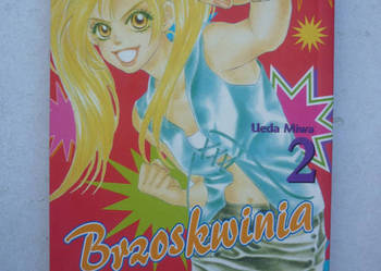 BRZOSKWINIA 2 - UEDA MIWA
