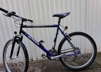 rower MTB Author Profile SX