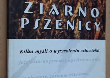 Ziarno pszenicy - Ks. Piotr Kulbacki