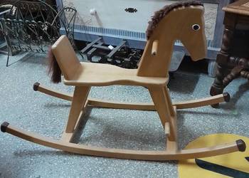 Konik na biegunach