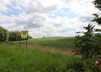 Grunt Rożyńsk Wielki 879m2