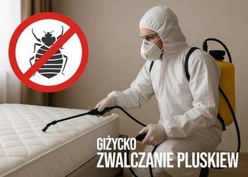 Zwalczanie Pluskiew Giżycko - Odpluskwianie, Dezynsekcja