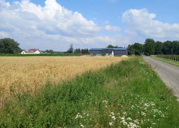 Sprzedam działkę rolno-budowlaną .