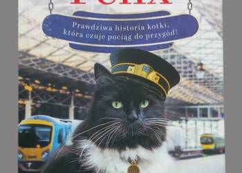 Kolej na Felix Prawdziwa historia kotki, która czuje pociąg do przygód!