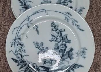 Antyk 6 szt talerzy Field Flowers BWM&CO Anglia 1880-1886