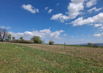 1,03 ha w Starym Wielisławiu
