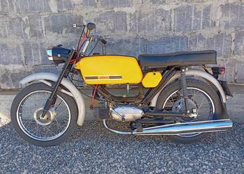 Jawa mustang