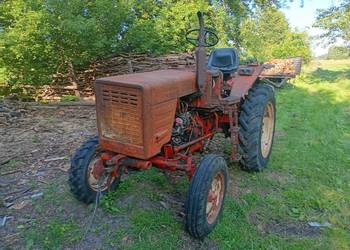 Władimirec t25 Rusek