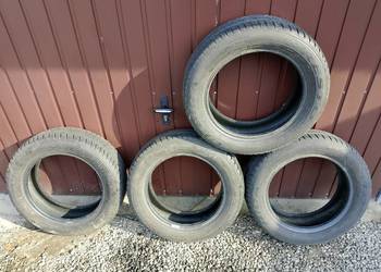 Opony letnie Dębica pasio 185/60 R15