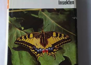 KRÓLESTWO ZWIERZĄT owady
