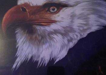 Muzyka niezwykła MOGWAI- The Hawk is Howling  2 LP.