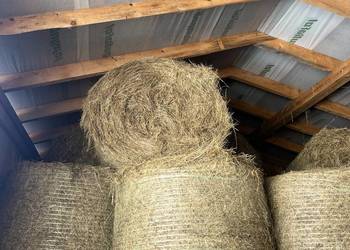 Sprzedam bele siana 120x120 pierwszy i drugi pokos Sprzedam bele siana 120x120 pierwszy i drugi pokos