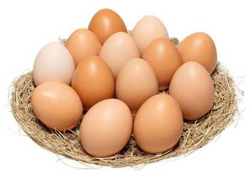 Świeże białe i brązowe jaja | świeże jajka stołowe na sprzedaż