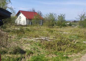 ścinka, wycinka drzew, koszenie trawy, czyszczenie terenu