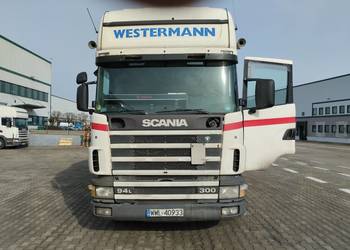 SCANIA  94L 300 samochód do przewozu kontenerów BDF