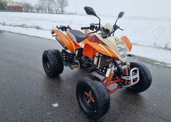 Quad Bashan EGL 250cc Zarejestrowany Kat. B Ciecz !