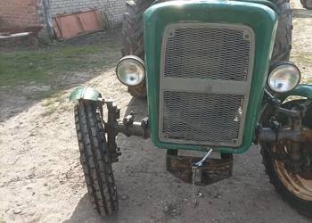 Ursus c 355