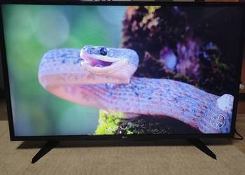 Telewizor LG 43 cale FullHD SMART TV