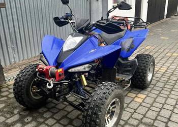 Quad Bashan BS250AS-43