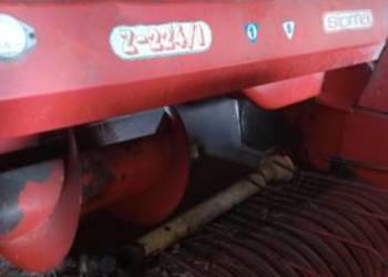 Sprzedam Prase Z 224/1