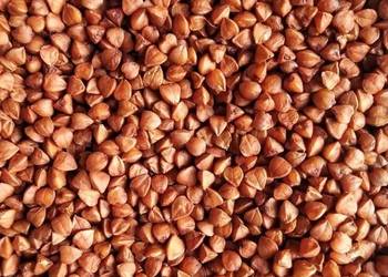 kasza gryczana kasza gryczana