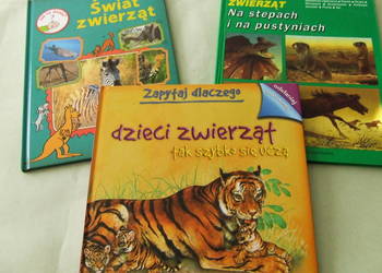 Świat zwierząt Na stepach i na pust Dlaczego dzieci zwierząt