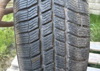 Opona Batumi Polaris 3 195/65R15