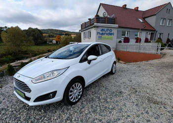 Ford Fiesta 1,25 benzyna Mk7 (2008-)