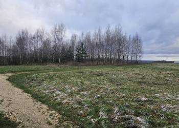 Syndyk sprzeda udział 1/2 w nieruchomości