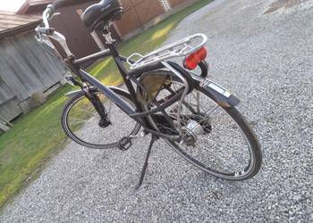 Rower batavus