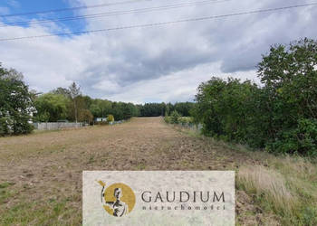 Koteże - Atrakcyjna działka tuż przy lesie.