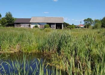Dom Siedlisko Posiadłość  Gospodarstwo Stajnia dla Koni