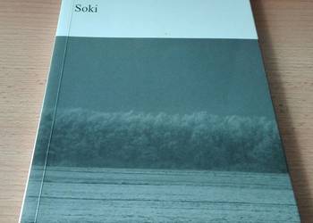 Soki / Roman Bąk. jak nowa Biblioteka Toposu